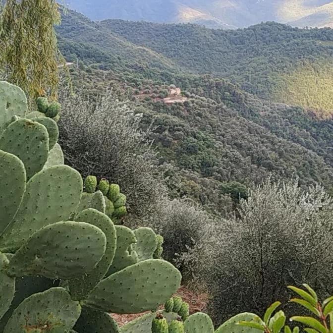 Appartamento Incantevole La Grotta Apricale Bagian luar foto